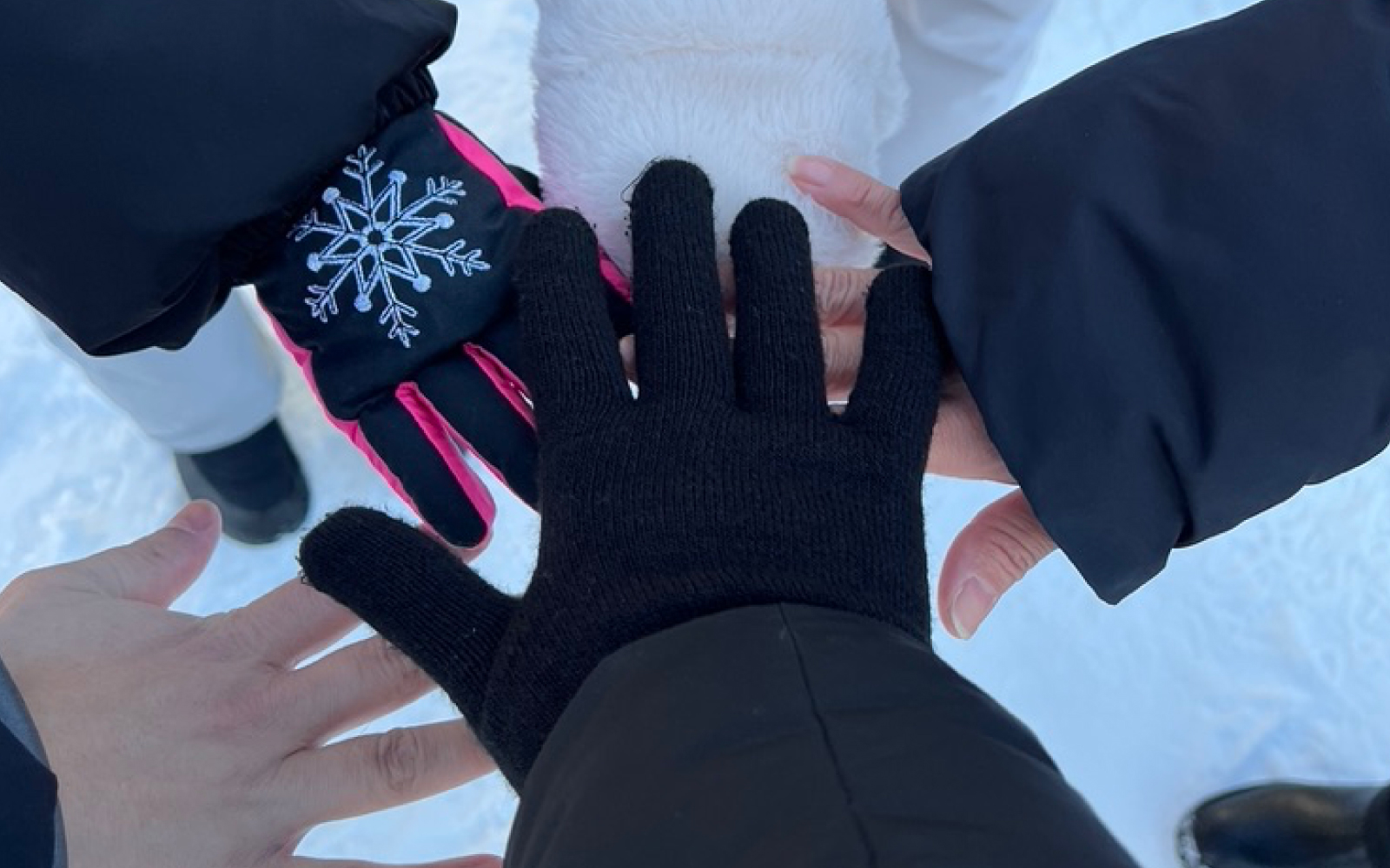 2024年 雪像 制作中